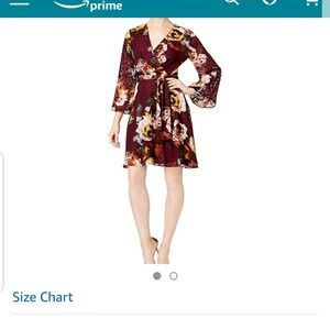 Ivanka Trump  mini dress